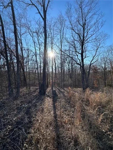 16-19723 000 Duart Dr, Bella Vista, AR 72715