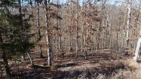 Bushy Lane, Bella Vista, AR 72714