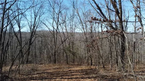 Braig Lane, Bella Vista, AR 72715