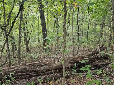 Kames Lane, Bella Vista, AR 72715