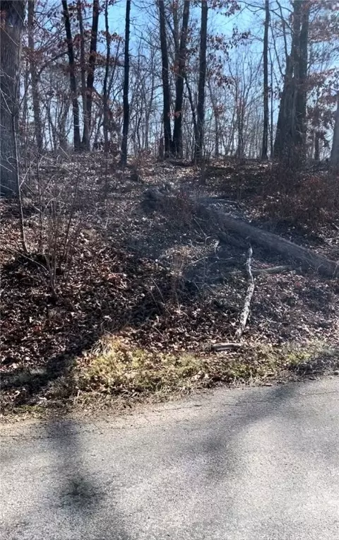 L8 B5 S Cheshnut Drive, Bella Vista, AR 72714