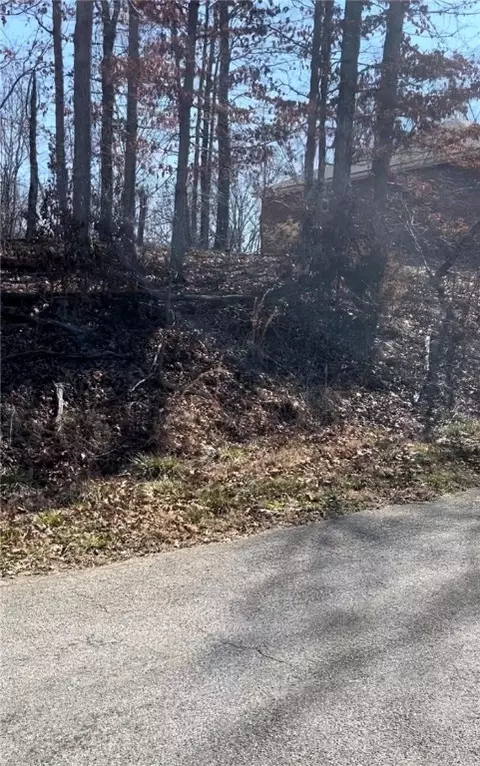 L9 B5 S Cheshnut Drive, Bella Vista, AR 72714