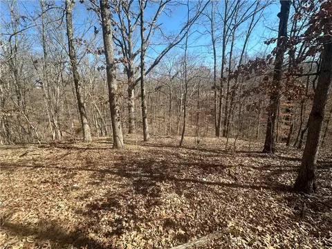 34 Acres Carpenter Ln, Bella Vista, AR 72715