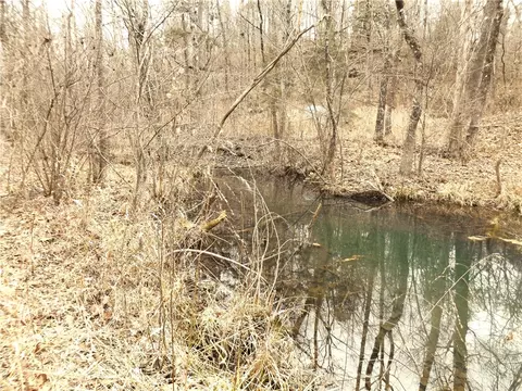 00100217002 Tower Ln, Jordan, AR 72519