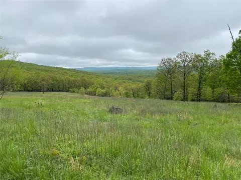 15106 Trace Branch Rd, West Fork, AR 72774 photo 4