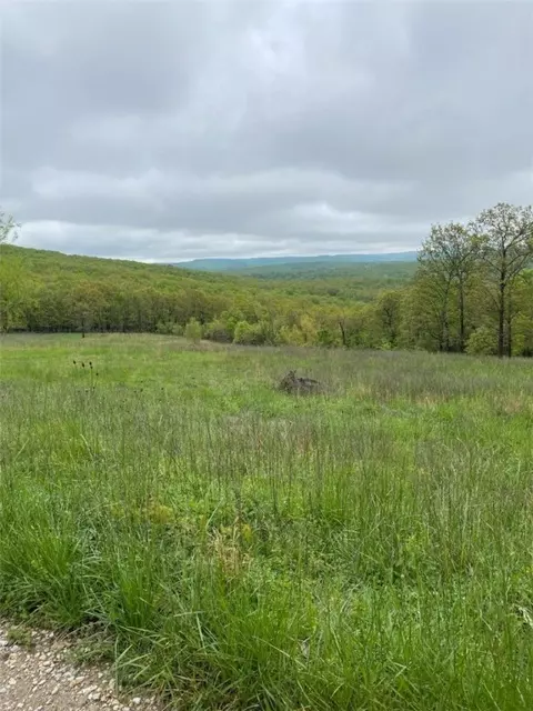 15106 Trace Branch Rd, West Fork, AR 72774 photo 5