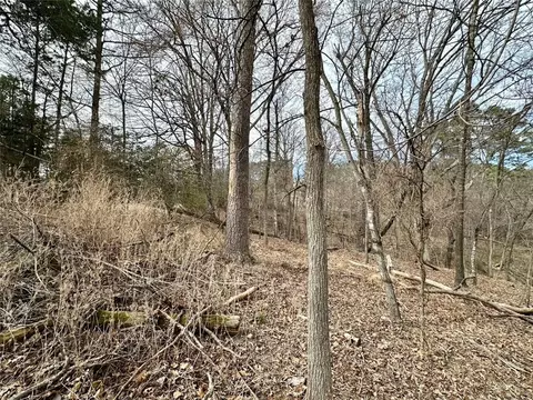 Hickory Drive, Rogers, AR 72756 photo 12