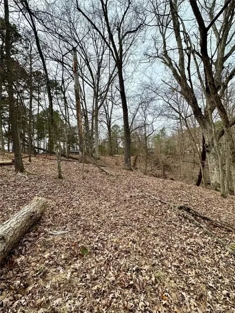 Hickory Drive, Rogers, AR 72756 photo 13