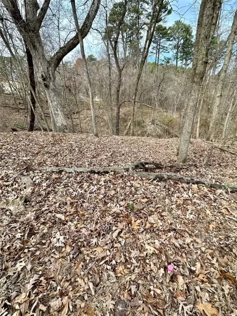 Hickory Drive, Rogers, AR 72756 photo 7