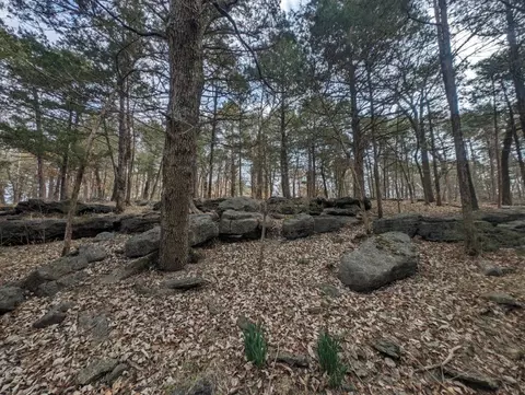 Larue Road, Rogers, AR 72756 photo 9