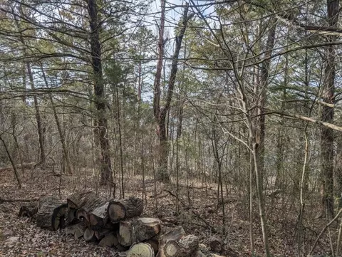 Larue Road, Rogers, AR 72756 photo 12