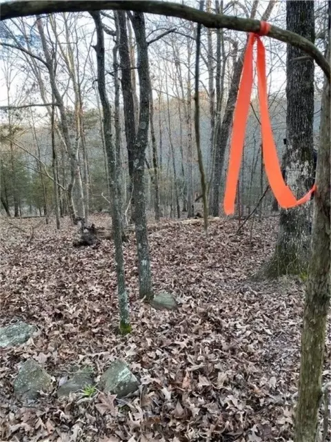 Tbd Madison 5551, Huntsville, AR 72740