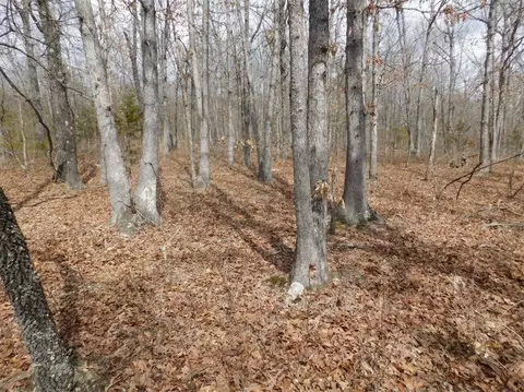 Cr 972, Compton, AR 72624 photo 7