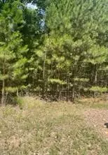Pine Tree, Kansas, OK 74347