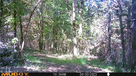 Hwy 96, Cecil, AR 72930 photo 32