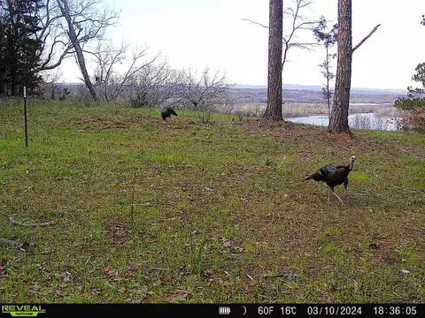 Hwy 96, Cecil, AR 72930