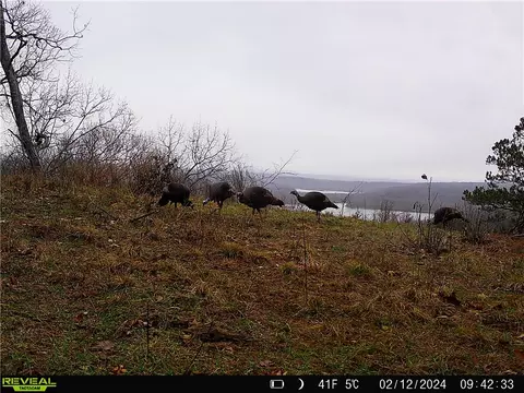 Hwy 96, Cecil, AR 72930 photo 17