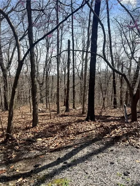Bobwith Lane, Bella Vista, AR 72714