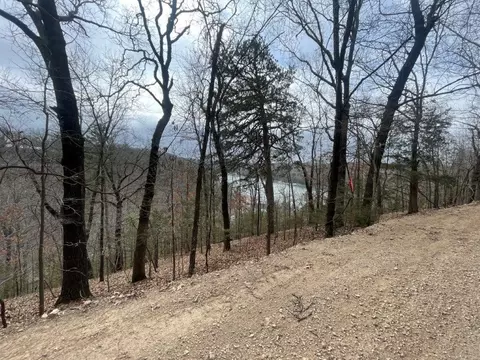 Tract 1 Pinewoods Drive, Rogers, AR 72756