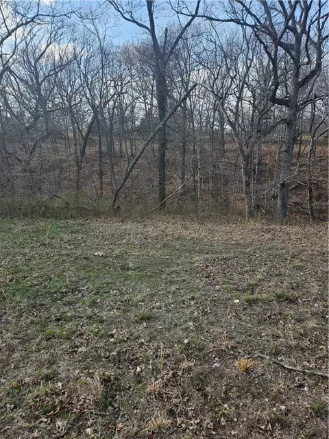 4 45 Acres Oak Hollow Rd, Noel, MO 64854