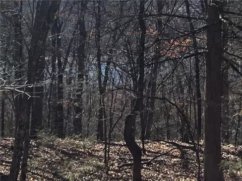 Lots 85 And 86 Oak Leaf Drive, Garfield, AR 72732