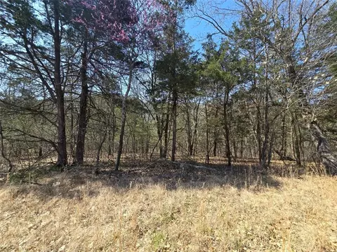5 W Thomas Cir, Holiday Island, AR 72631