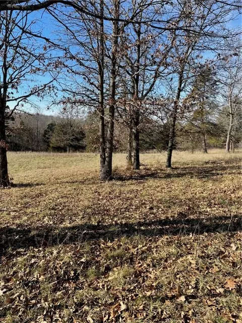 200 Cr 417 Ln, Berryville, AR 72616