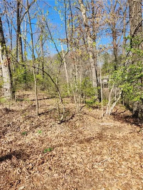 Sheneman Drive, Bella Vista, AR 72715