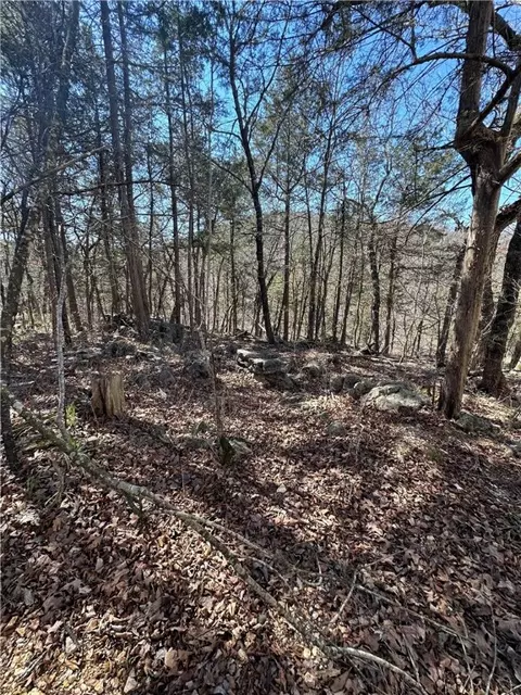 13 N Star Loop, Holiday Island, AR 72631