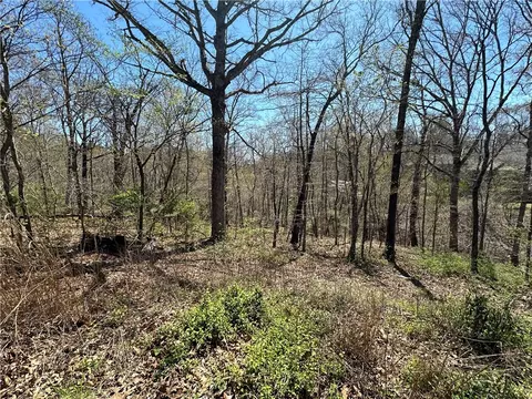 Diss Lane, Bella Vista, AR 72715