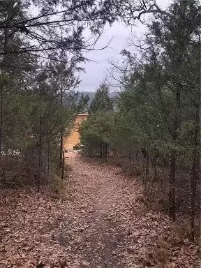 300 County Road 212, Eureka Springs, AR 72631