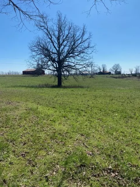 21514 Bug Scuffle Rd, West Fork, AR 72774