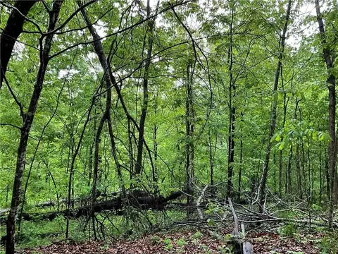 Annan Lane, Bella Vista, AR 72715