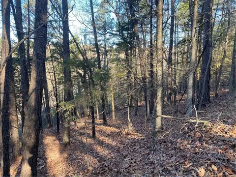 1002 West Chestnut Street #5, Rogers, AR 72756