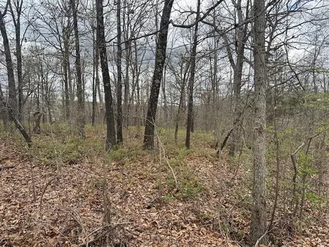 Dover Drive, Bella Vista, AR 72714