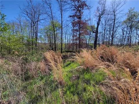 Carrick Drive, Bella Vista, AR 72715