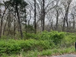 Mcginnis Lane, Bella Vista, AR 72715