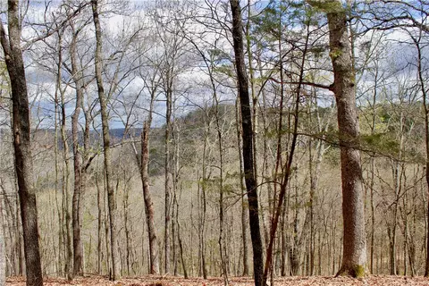 County Road 2415, Eureka Springs, AR 72632