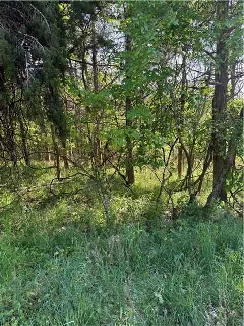 leatherwood drive, Holiday Island, AR 72631
