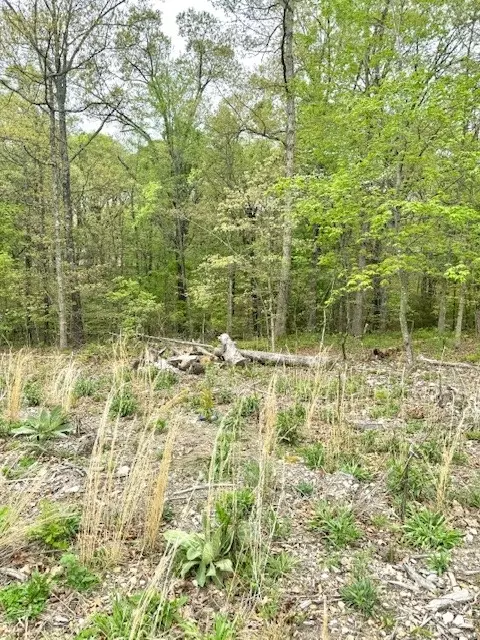 Orkney Drive, Bella Vista, AR 72715