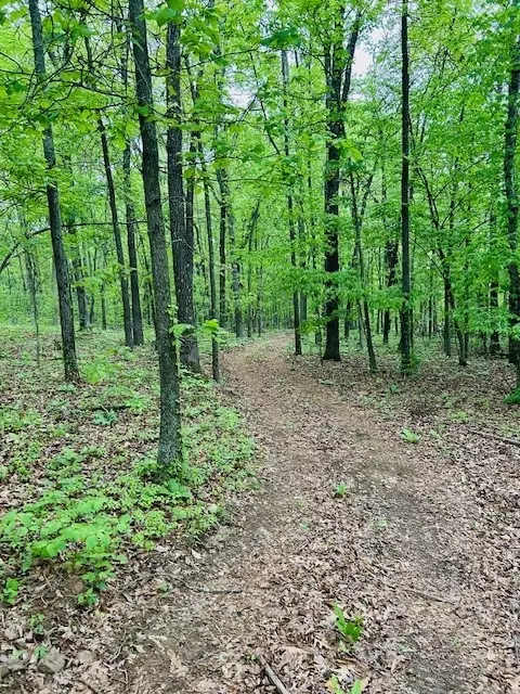 Tract B Madison Cr 5450, Elkins, AR 72727
