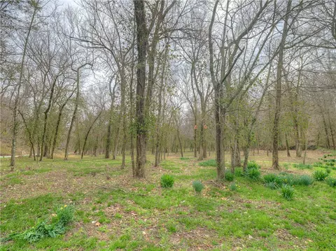 Undisclosed, Anderson, MO 64831 photo 3