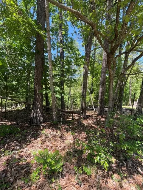 Overton Drive, Bella Vista, AR 72714