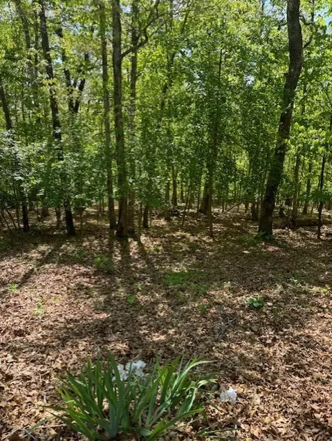 Chelsea Lane, Bella Vista, AR 72715