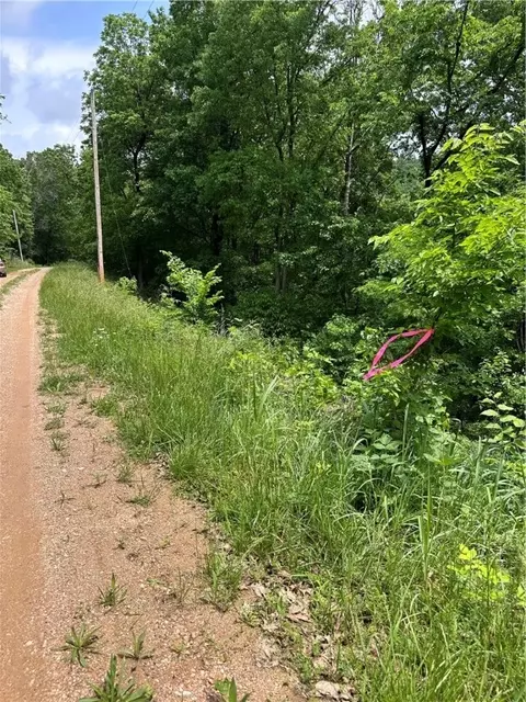 20 Cove Ln, Holiday Island, AR 72631