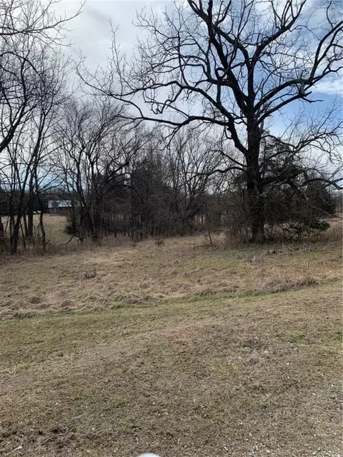 875-02838 000 Tbd Sandra, Berryville, AR 72616