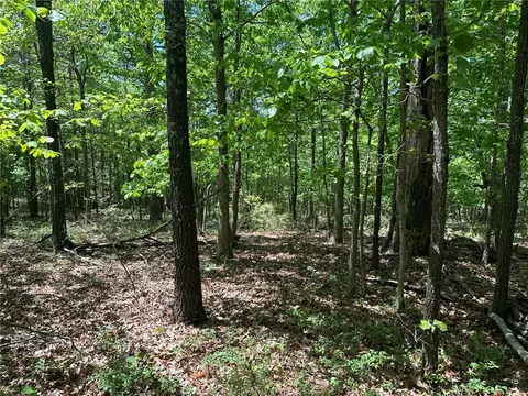 Tbd Lakeside Drive, Rogers, AR 72756
