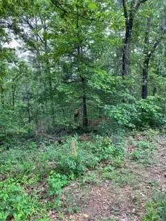 Zennor Drive, Bella Vista, AR 72715