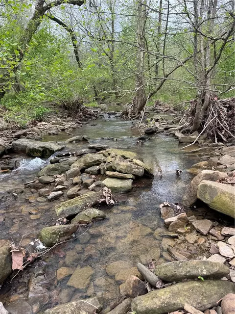 Madison Cr 3350, Huntsville, AR 72740