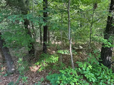 Stronsay Circle, Bella Vista, AR 72715